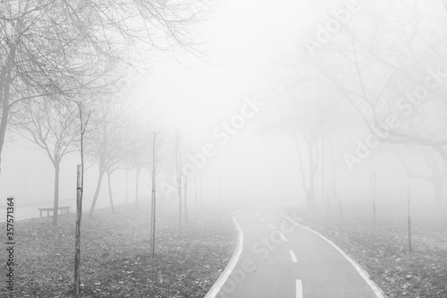 Bike path in the foggy wint...