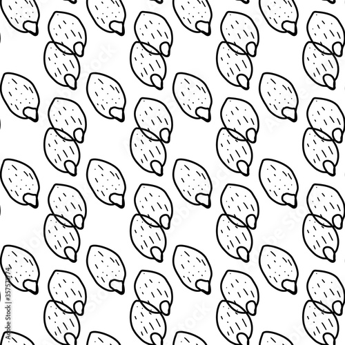 Nuts Pattern. Hand drawn food seamless background