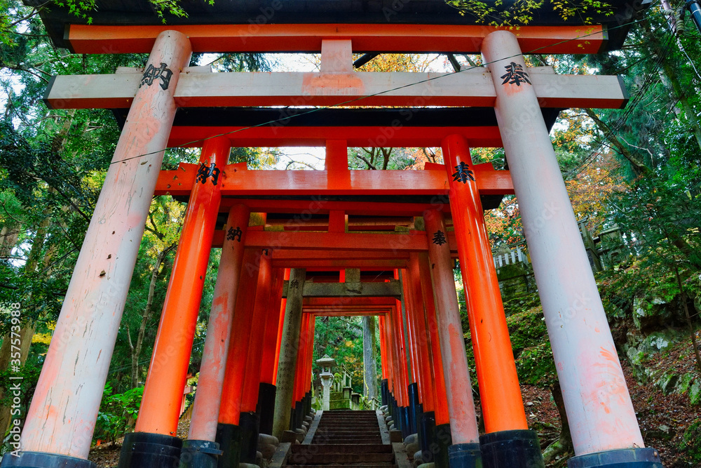 京都 伏見稲荷大社　美しい朱色の鳥居(京都府京都市） Kyoto Fushimi Inari Taisha Shrine famous for beautiful vermilion torii gates (Kyoto City, Kyoto Prefecture, Japan) 