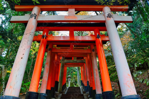 京都 伏見稲荷大社 美しい朱色の鳥居(京都府京都市） Kyoto Fushimi Inari Taisha Shrine famous for beautiful vermilion torii gates (Kyoto City, Kyoto Prefecture, Japan) 