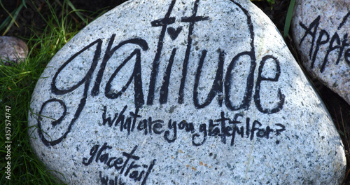 What are You Grateful For Stone Along a Trail