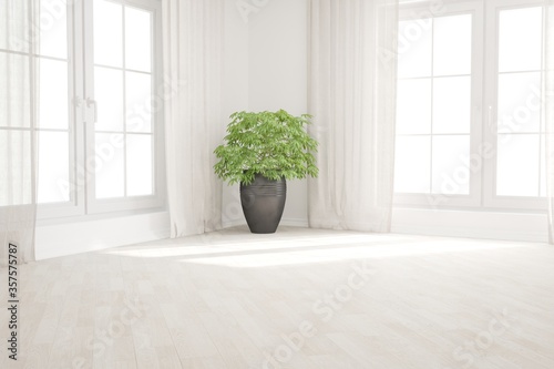 Fototapeta Naklejka Na Ścianę i Meble -  modern room with curtains and plant interior design. 3D illustration