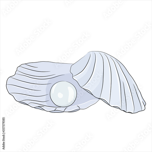 Shell with blue pearl
