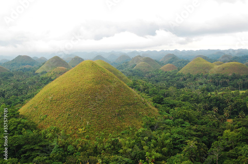 Chocolate hills landscape view with surrounding trees