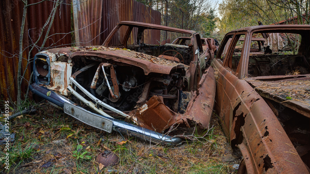 Fotografia rusty cars