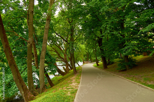 road in the park