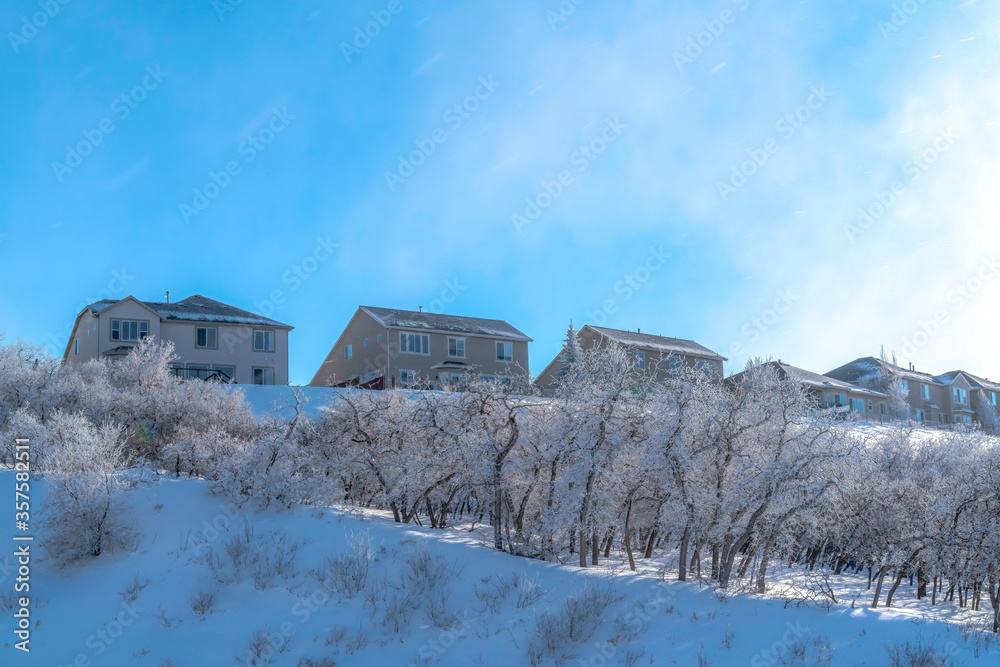 Blue sky and bright sun over homes on snow covered Wasatch Mountain in winter