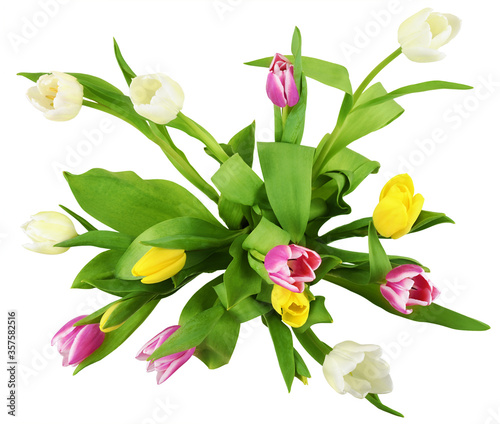Pink, yellow and white tulip flowers in a bouquet isolated on white background