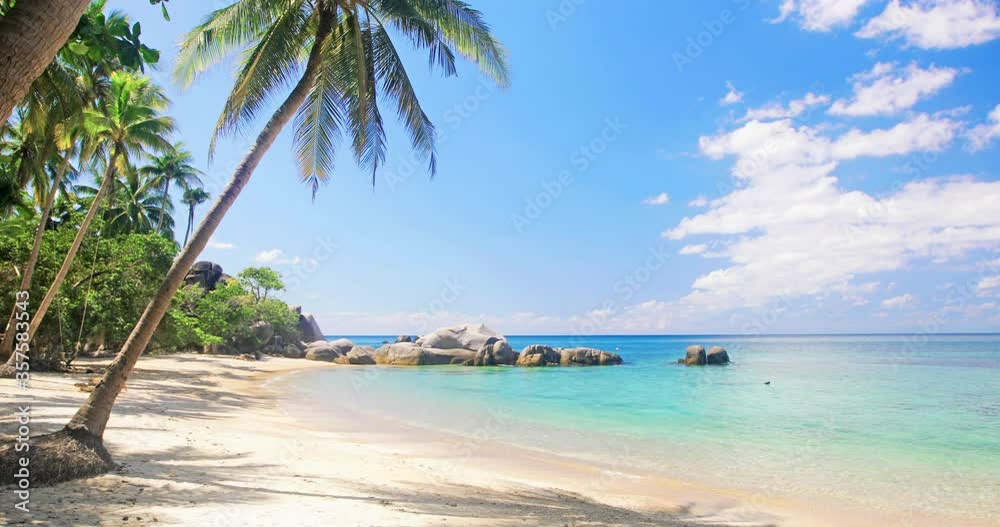 beach and coconut palm trees. Koh Tao, Thailand
