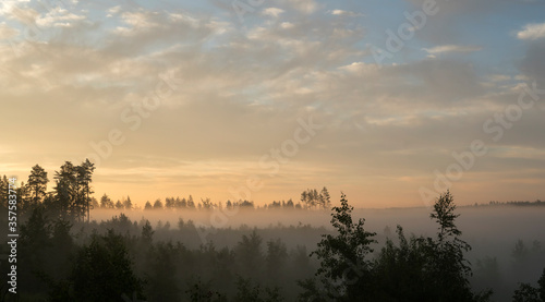 Morning fog layers in the forest over which hangs a cloudy pink sky © Alexander