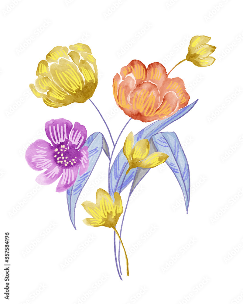 Watercolor flowers set. Hand drawn floral elements isolated on white ...