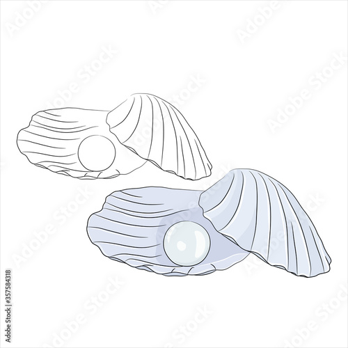 Shell with blue pearl set