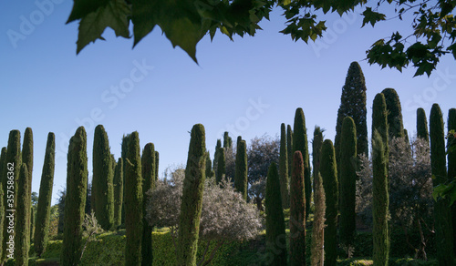 park zieleń drzewa liście niebo hiszpania