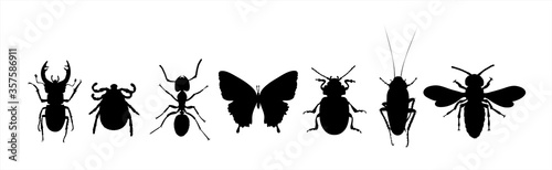 Collection of vector silhouette of animals on white background. Symbol of nature and insect.