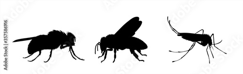 Set of vector silhouette of insect on white background. Symbol of annoy animals.
