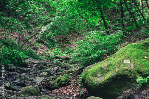 stream in the woods © Gabriel
