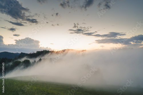 Ausblick auf in Nebel gehüllten Wald mit Wiese im Vordergrund