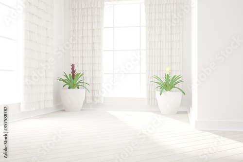 modern empty room with plant in pots and curtains interior design. 3D illustration