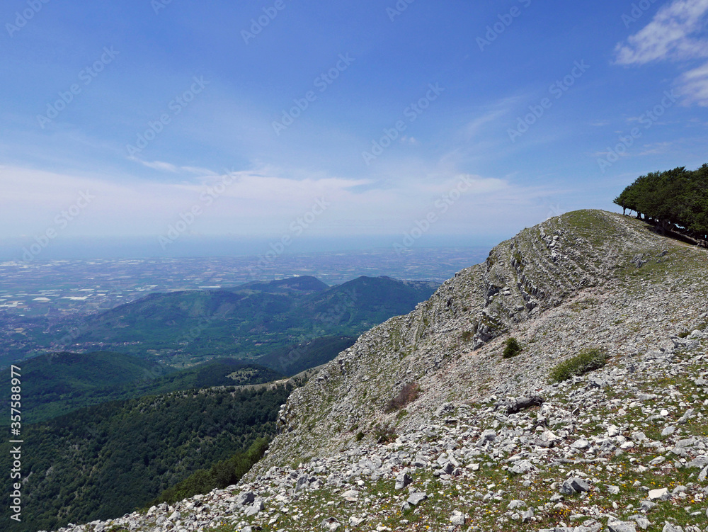 suggestivo panorama dei Monti Lepini in Italia, sullo sfondo di fiori gialli