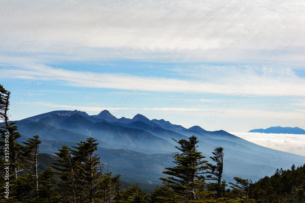 針葉樹の森の向こうに姿を現した霧に浮かぶ朝の南八ヶ岳、最高峰の赤岳、阿弥陀岳、横岳、硫黄岳、編笠山。北横岳より。The Yatsugatake mountain range over the foggy sea in the early morning.
