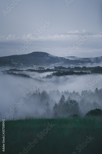 Blick auf In Nebel gehüllte Wälder am Abend