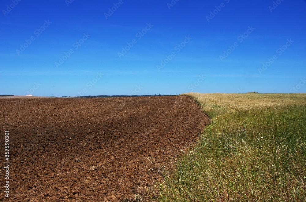 Plowed field at south of Portugal Plowed field at south of Portugal