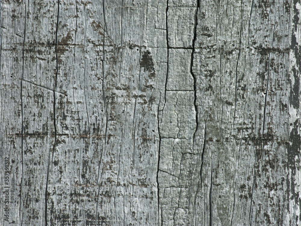 Obraz premium 古い板