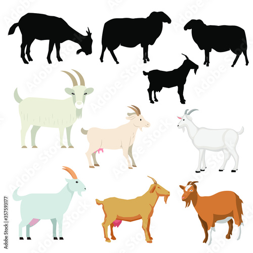 Collection of the various vector of goats isolated on white background © AbdulAlim