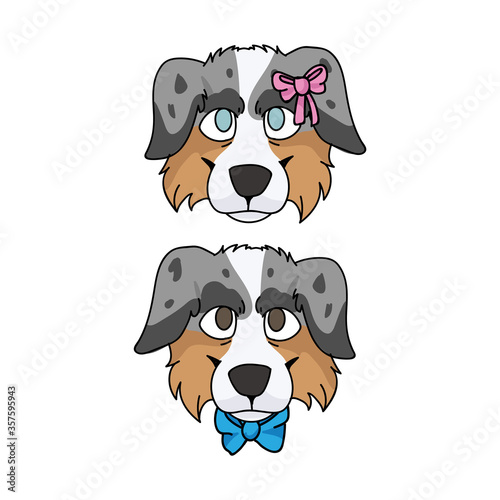 Cute cartoon australian shepherd dog face boy and girl vector clipart. Pedigree kennel doggie breed. Purebred domestic for pet parlor illustration mascot. Isolated canine English hunting.