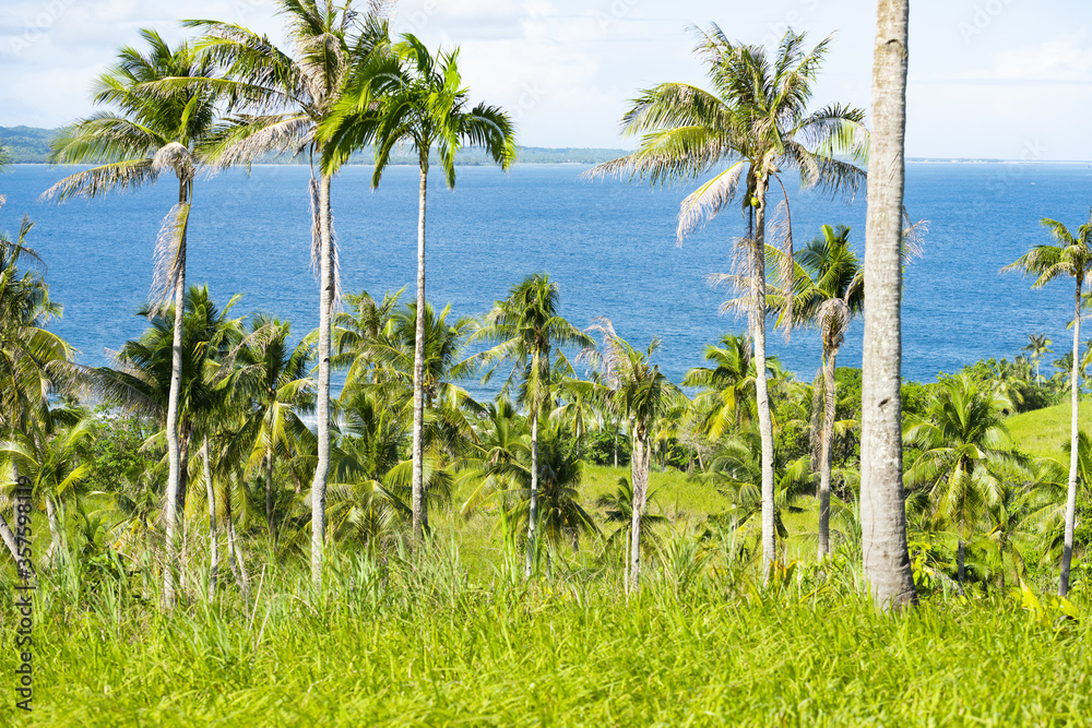 Stunning view of a green field with some palm trees in the foreground and a blue ocean in the distance. Corregidor Island, Philippines.