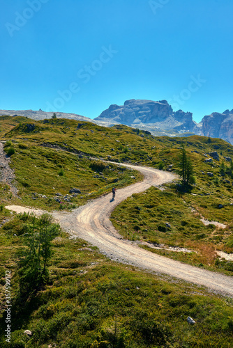 Madonna di Campiglio (Tn), Italy, Cyclist climbing in the mountains