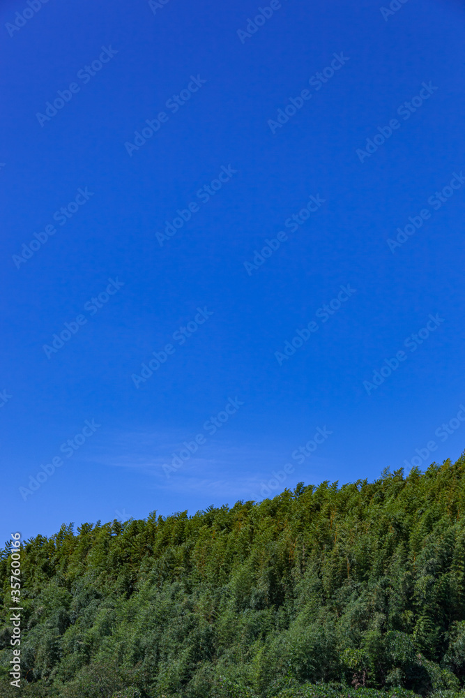 Obraz premium 真夏の青空と緑(9月)