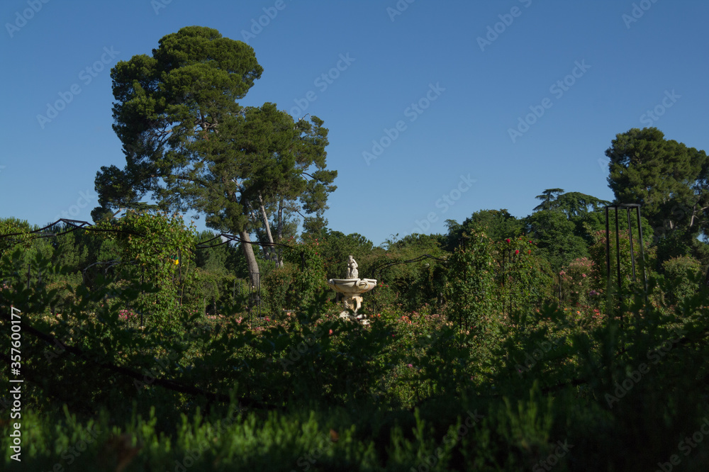 Fototapeta premium widok park drzewa niebo liście natura zieleń