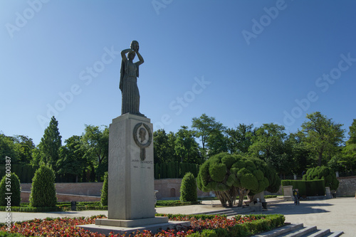 widok park drzewa niebo liście natura zieleń
