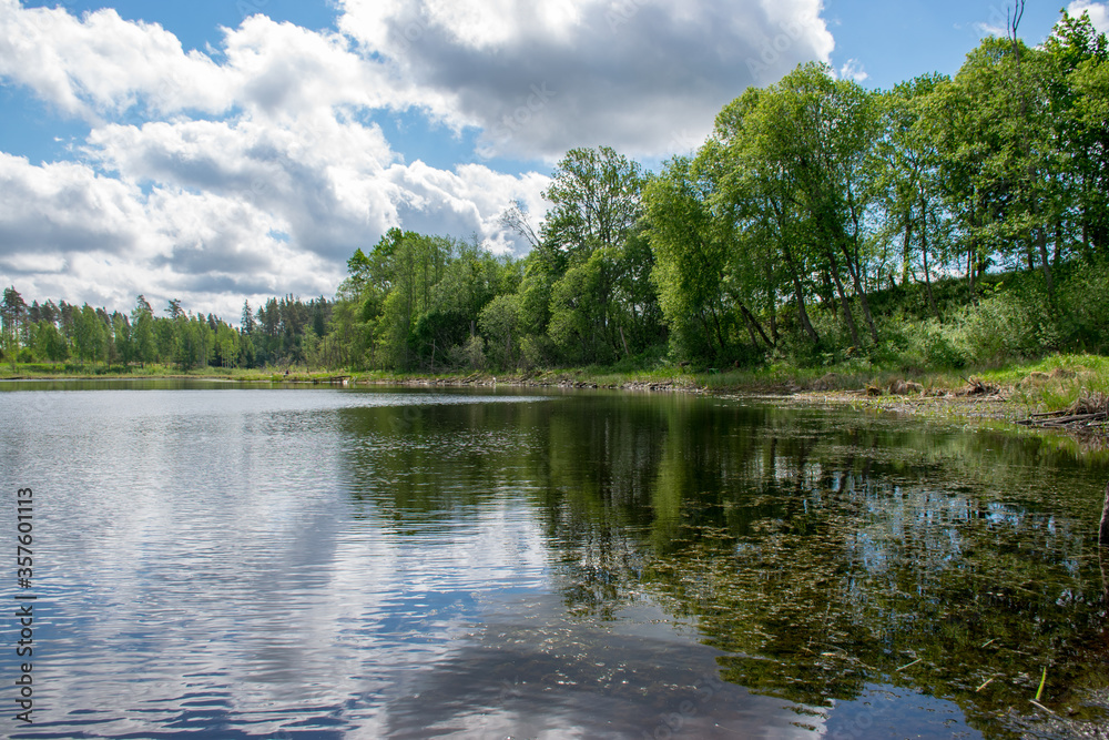 summer landscape with lake and white cloud reflections in the water, tree silhouettes reflect in the lake water