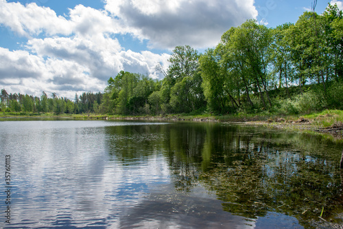 summer landscape with lake and white cloud reflections in the water  tree silhouettes reflect in the lake water