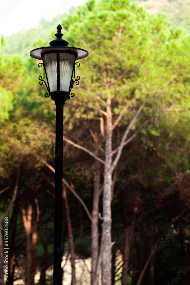 Decorative Street Lamp in the Forest