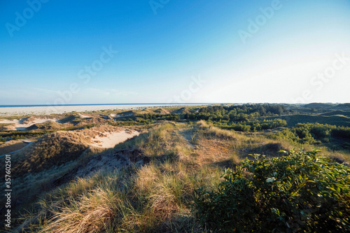 Panoramic seascape view, green vegetation on rolling coastal sand dunes. © Martin Piechotta