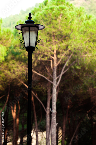 Decorative Street Lamp in the Forest