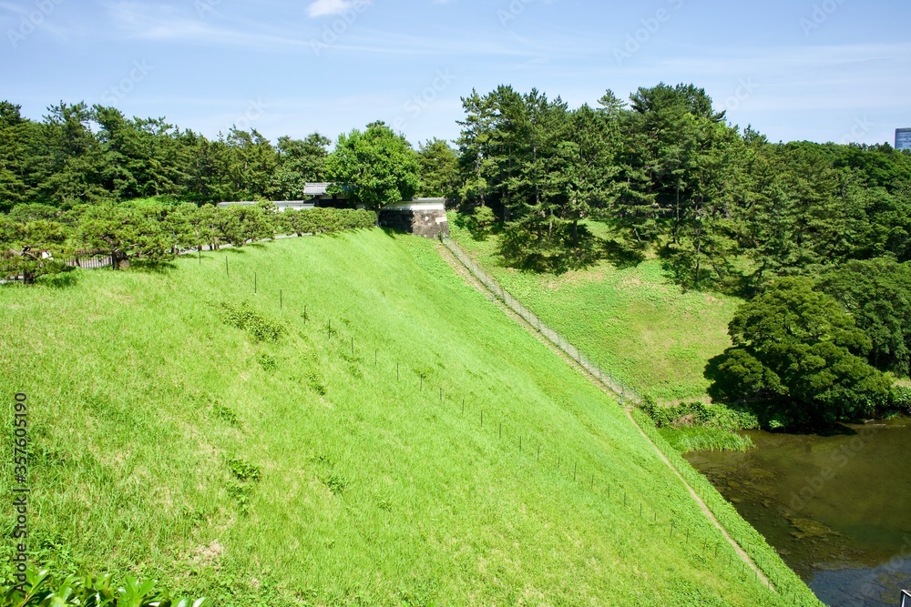 Beautiful lawn on the slope in Tokyo.