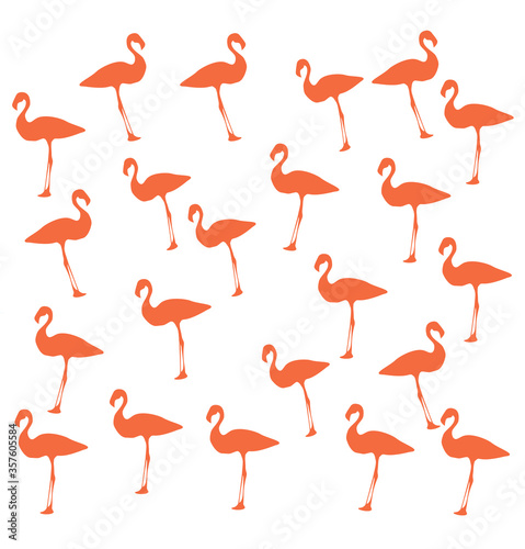 Pink flamingos seamless pattern, on a white background © Turbo Yoda