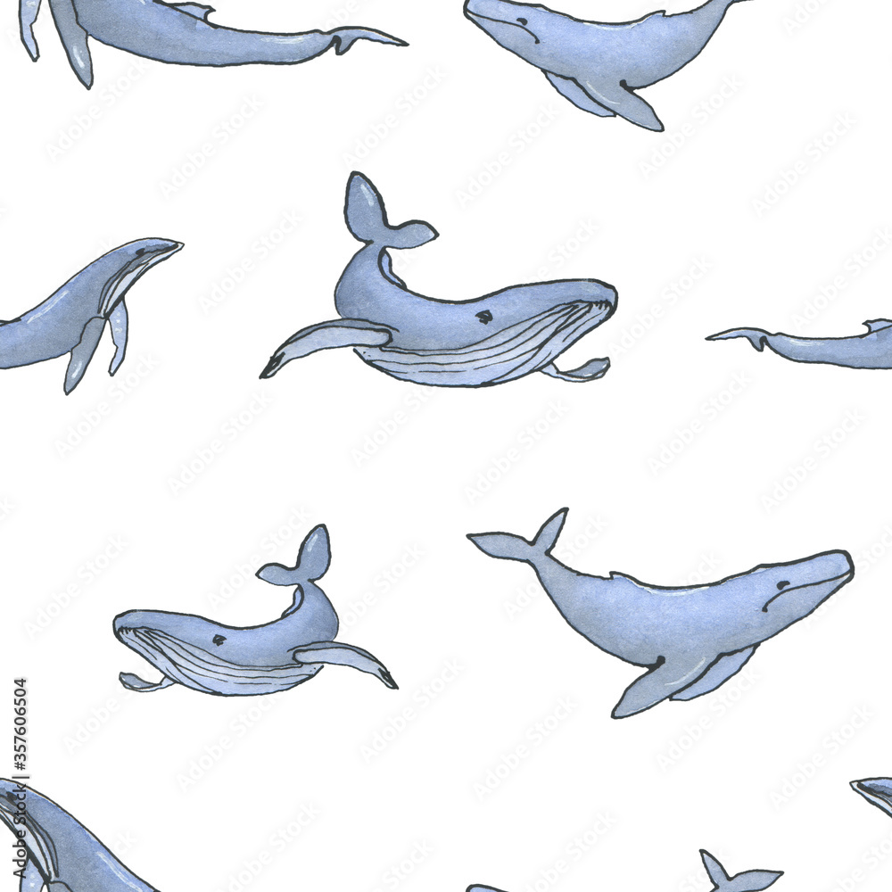 Fototapeta premium Watercolor hand drawn pattern with whale on white background