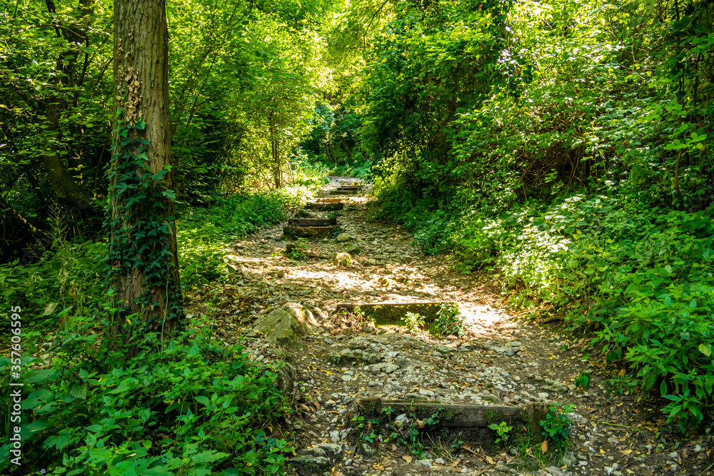 Path leading to the Rocca di Garda, Verona - Italy Path leading to the Rocca di Garda, Verona - Italy