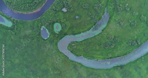 Top view of over green wild meadows in Oksky Reserve, Russia photo