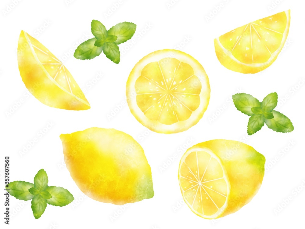 水彩タッチのレモンとミントのイラスト素材 Stock Illustration Adobe Stock
