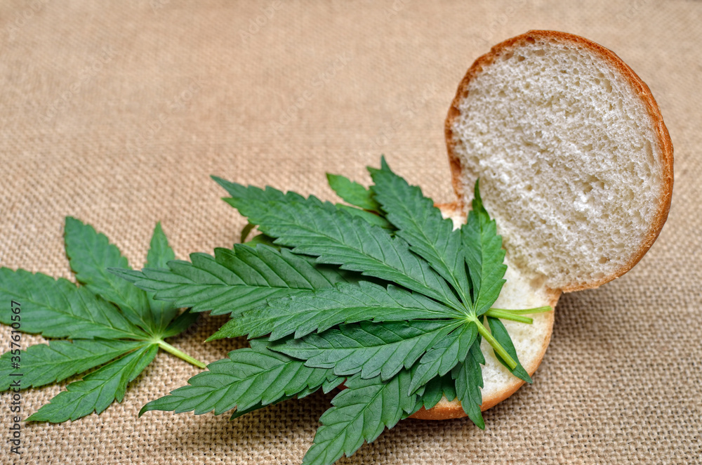 Sandwich made from young leaves of cannabis. Sandwich made from young leaves of cannabis.