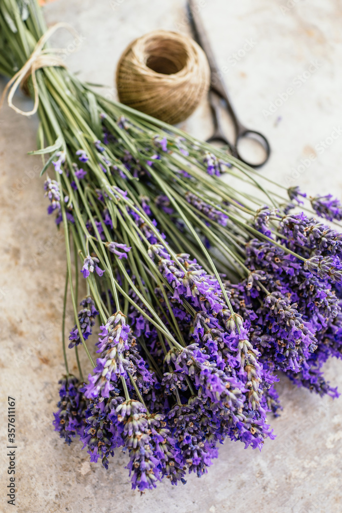 Fresh lavender Fresh lavender