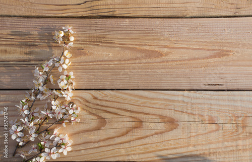 White flowers on a wooden background. Flowers are scattered on a wooden table. View from above