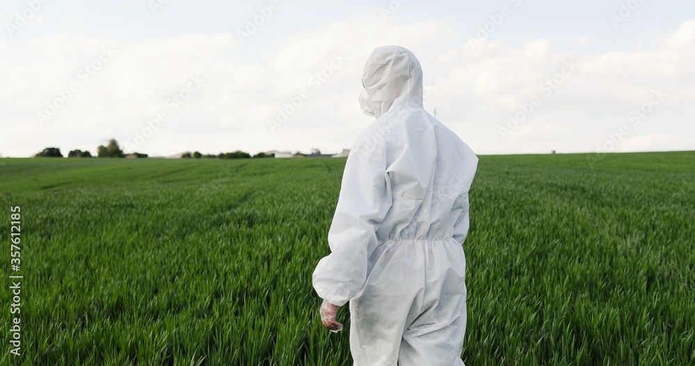 Rear of Caucasian male farmer ecologist in white protective costumes and goggles walking in green field in summer. Back view on man scientist and biologists strolling the margin with eco harvest. Rear of Caucasian male farmer ecologist in white protective costumes and goggles walking in green field in summer. Back view on man scientist and biologists strolling the margin with eco harvest.