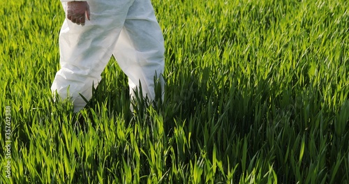 Close up Caucasian farmer ecologist in white protective costume walking in green field in grass in summer. Man scientist and biologist strolling the margin in eco harvest. Camera moving from down up.